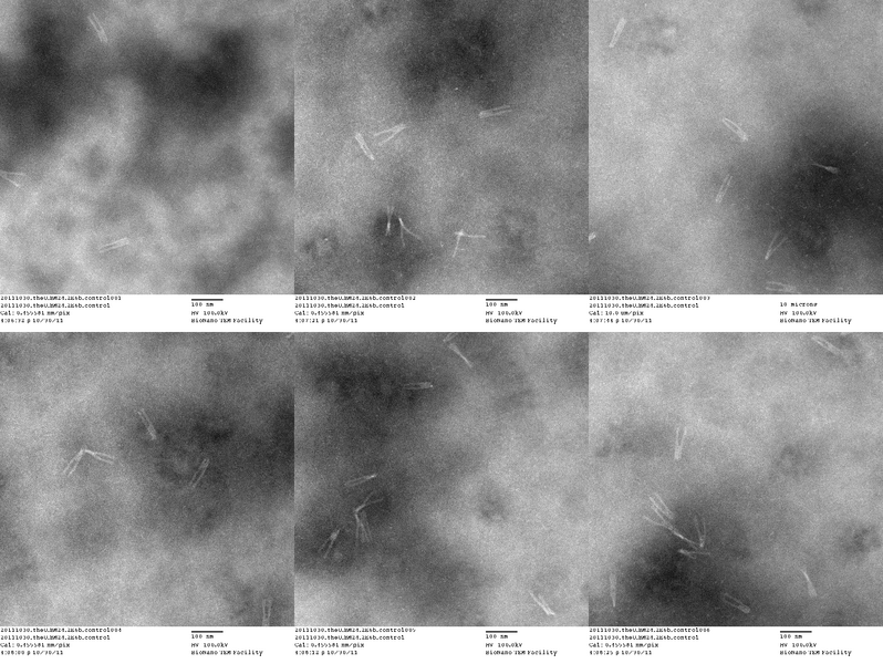 File:20111030 theU BM24 2E6b control213.png