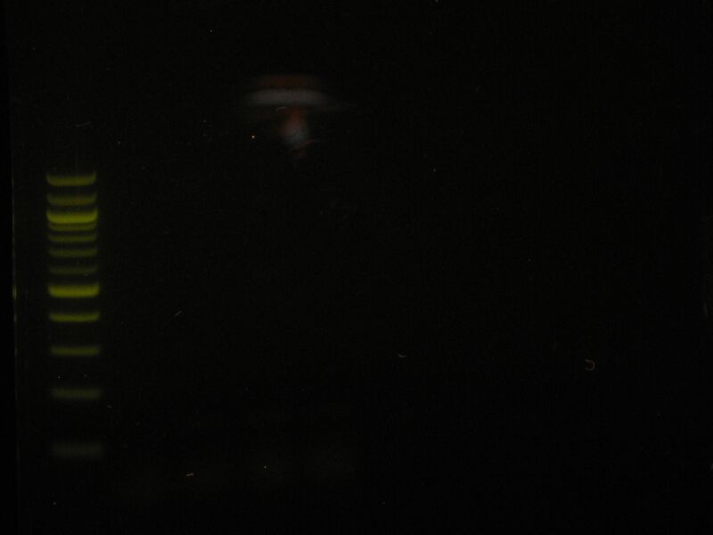 File:Capture 00048.JPG