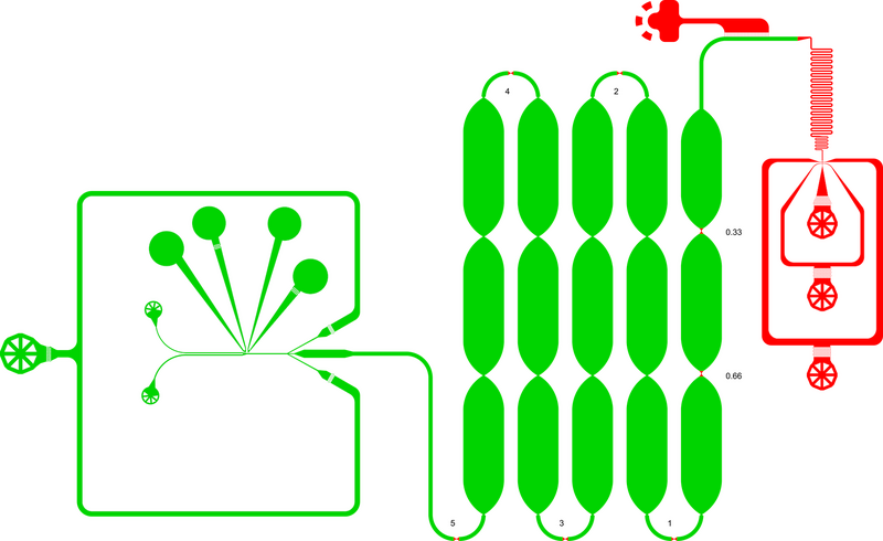 File:FADS chip inline short DSF.png