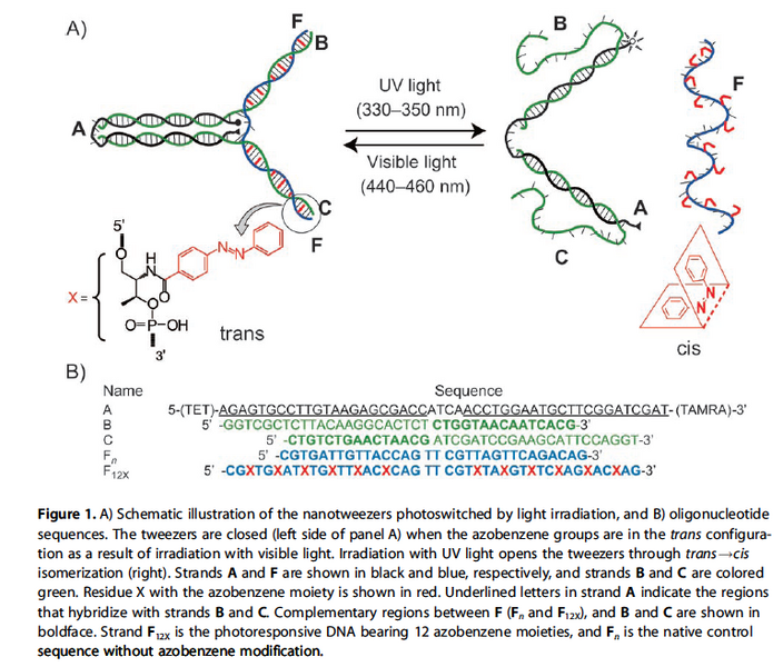 File:Liang azobenzene.png