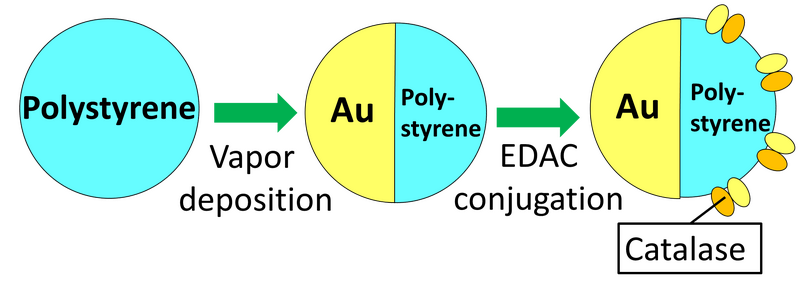File:Make catalase rocket.png