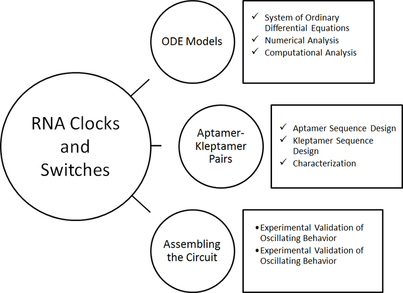 File:Wiki Outline of Success .png