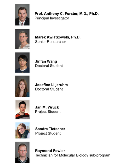 Minimal Cell Project