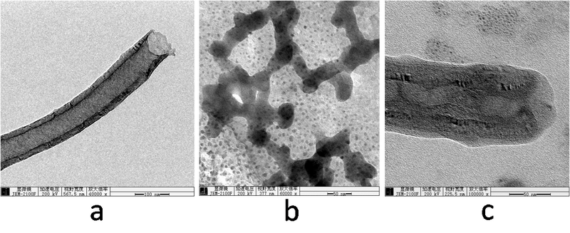 File:Biomod tianjin results 3.png
