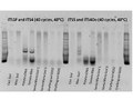 Thumbnail for version as of 23:43, 18 November 2011