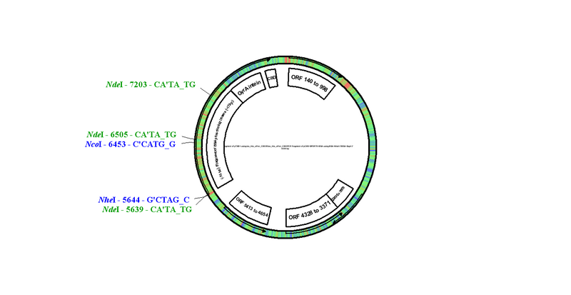 File:PTXB1-His-BSA.bmp