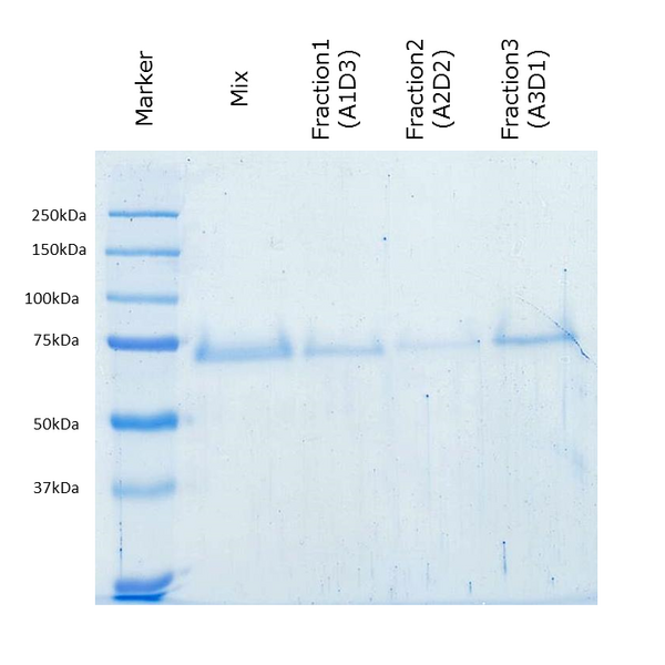 File:SA result-Todai.png