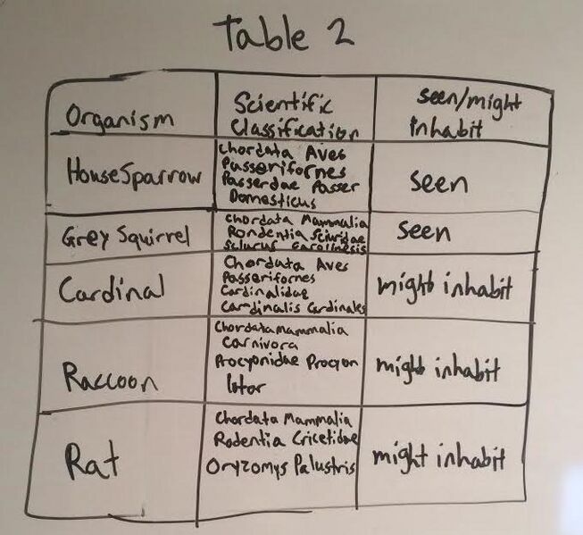 File:Vertabrate table.jpg
