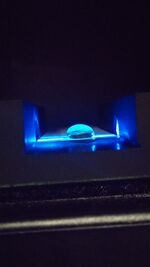 0.0 μg/mL (Water Solution Blank)