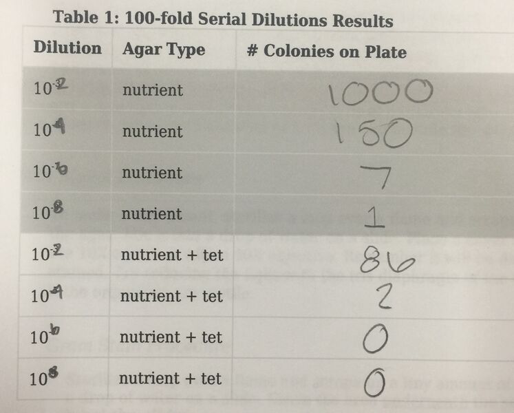 File:Colonies chart.jpg