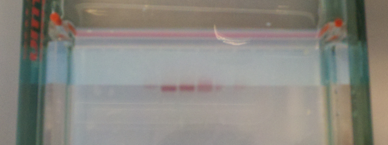 File:Screen Shot 2011-08-04 at 5.34.08 PM.png