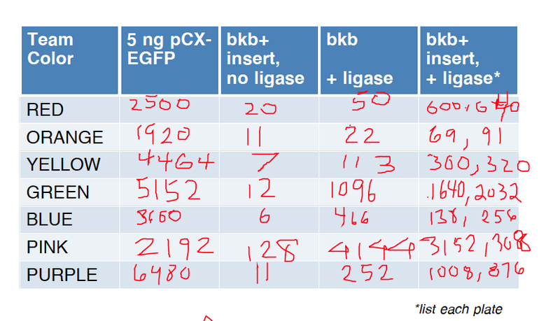 File:20.109(F12) TR Ligation Results.png