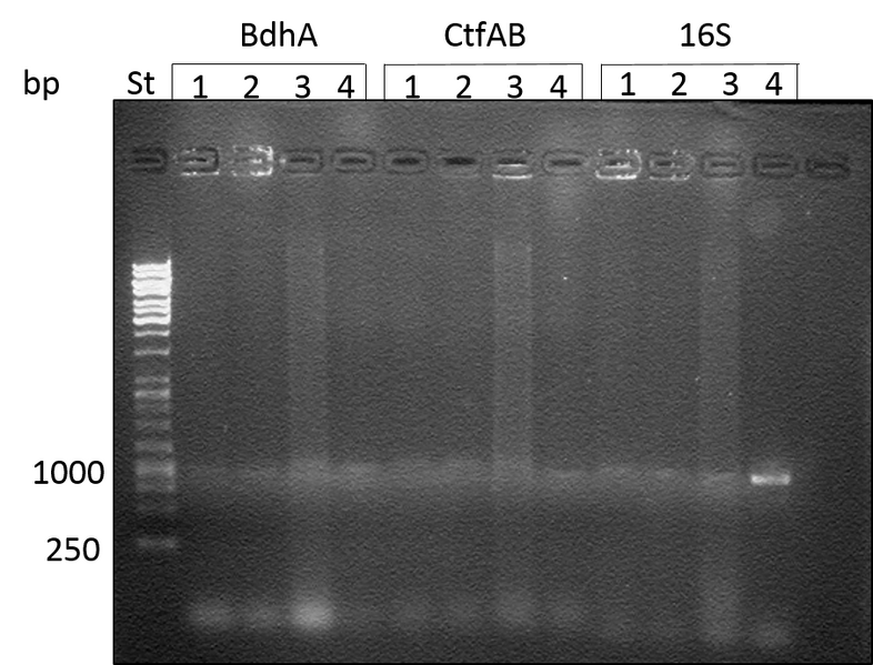 File:20140423 (3).png