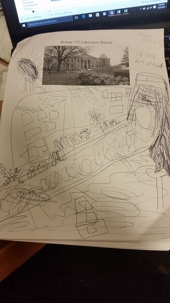 File:20160122 012718.jpg