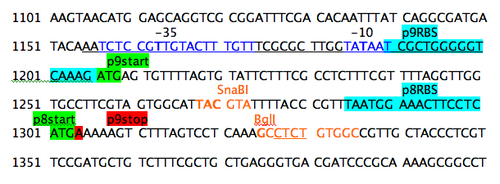 Step 3: flanking restriction sites