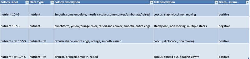 File:Bacteria Characterization.jpg
