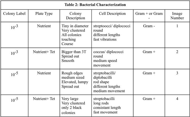 File:Bacterial Characterization.png