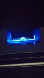 0.5 μg/mL (Calf Thymus DNA)