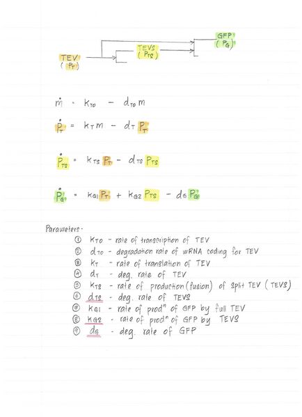 File:Model output 010.jpg