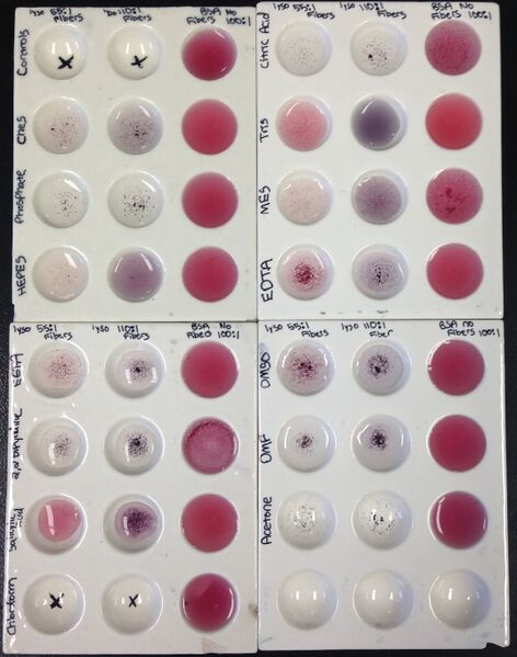 File:Feb 18 Pic 5.jpg