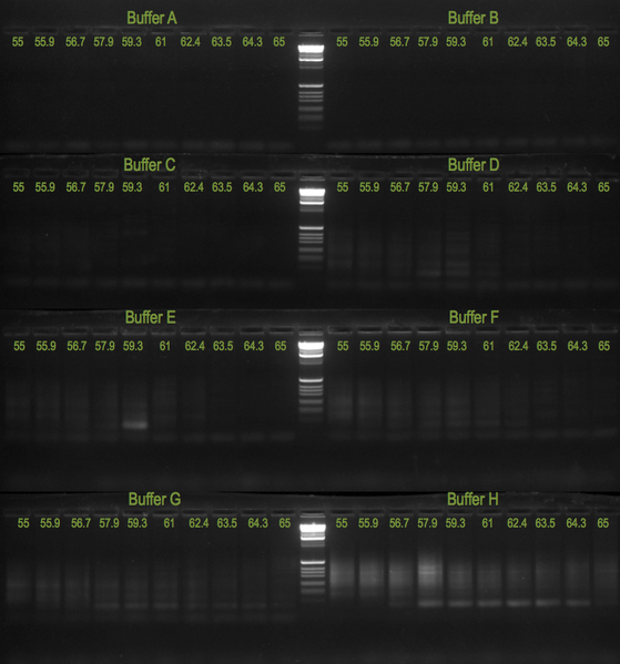 File:20110930 Gela.png