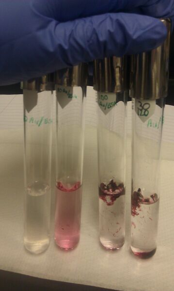 File:20120830 60120AuBSA.jpg