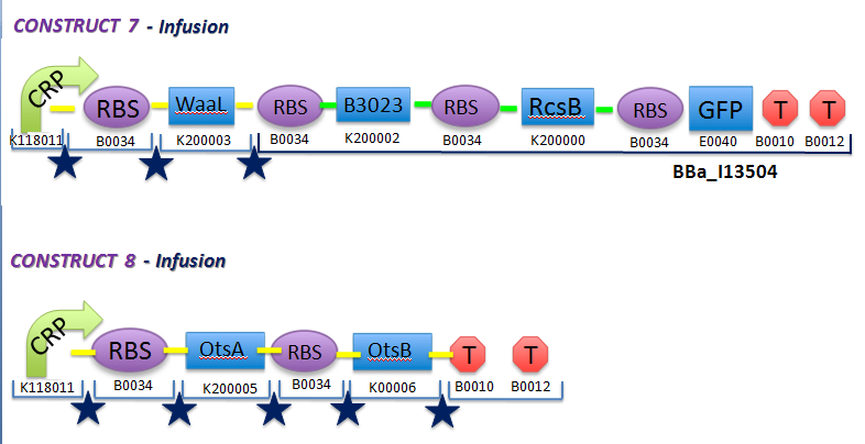 File:II09 ConstructsM2(b).jpg