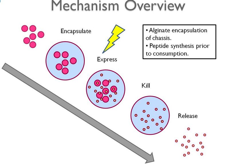 File:Mechanismoverview.jpg