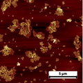 Thumbnail for version as of 23:56, 8 November 2012