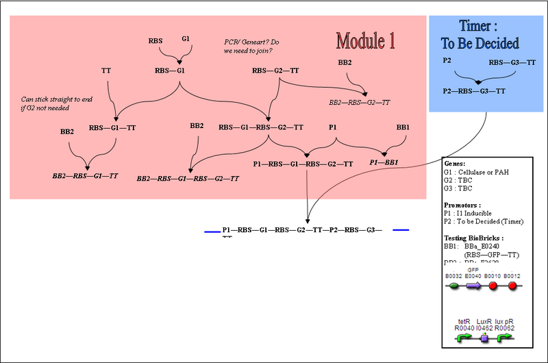 File:II09 M1 ClonStrat.png