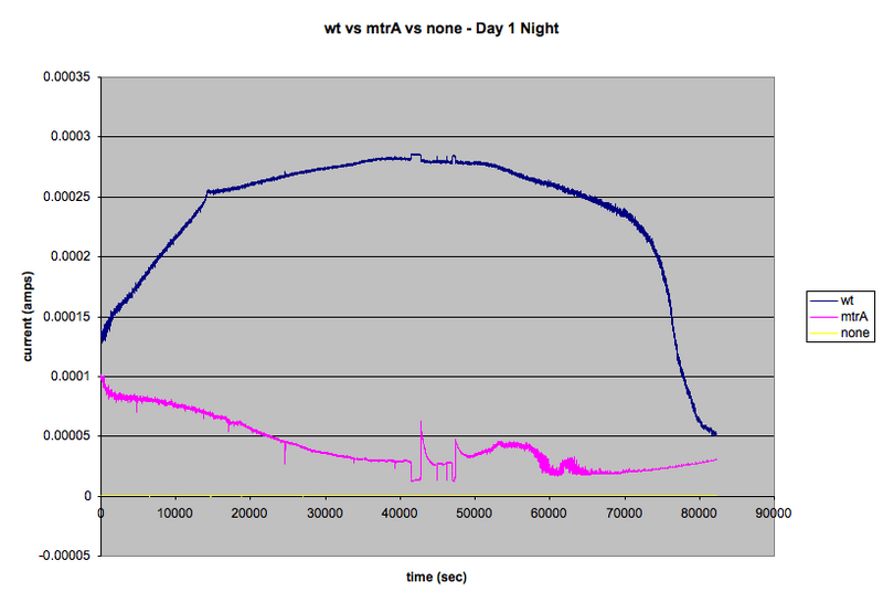 File:Mfc overnight2.png