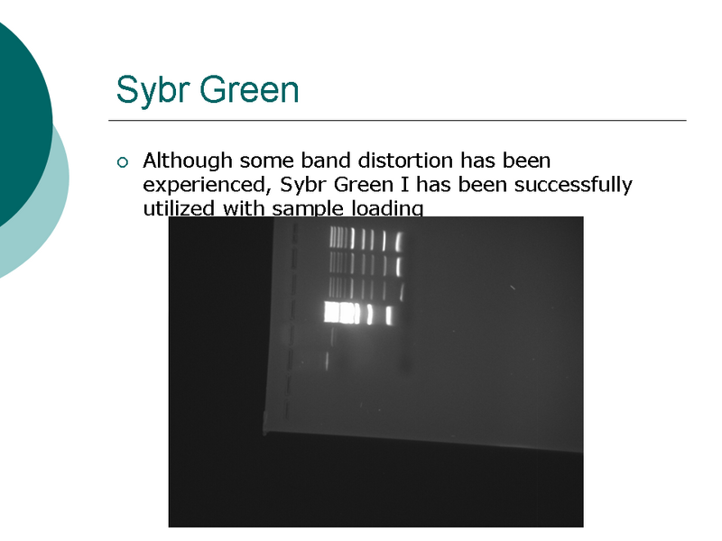 File:PSU GFL 2007 79m Slide 2.PNG