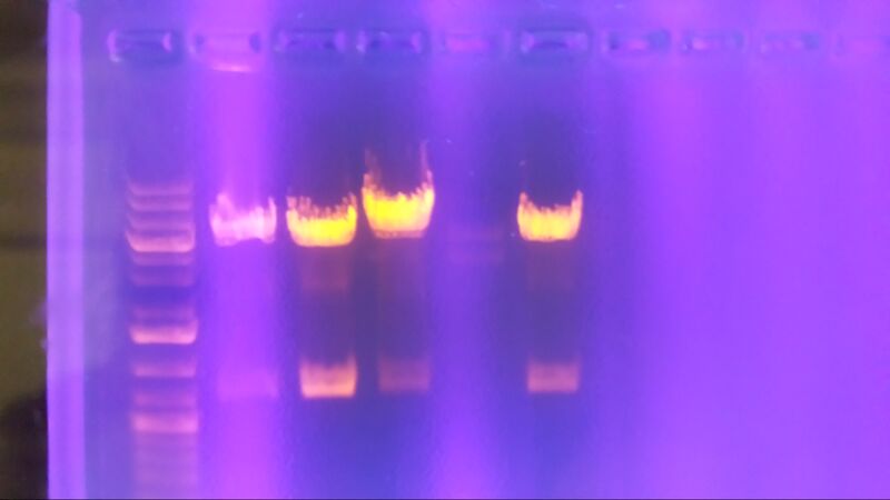 File:W220140709 174229.jpg