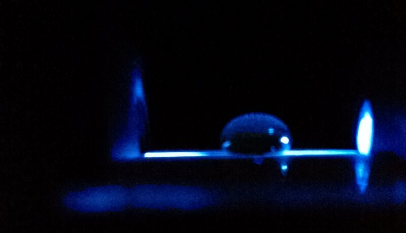 File:Negative controlgroup8dna.jpg