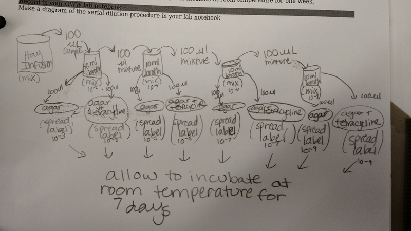 File:OWW2final html m32370cfb.png