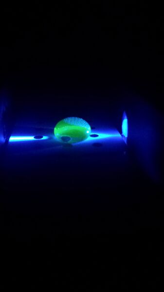 File:20131106 132947.jpg