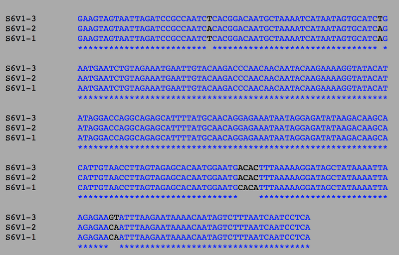 File:Courtney L. Merriam Subject 6.png
