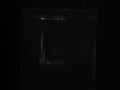This is a picture after staining prior to destain, which I am doing now.