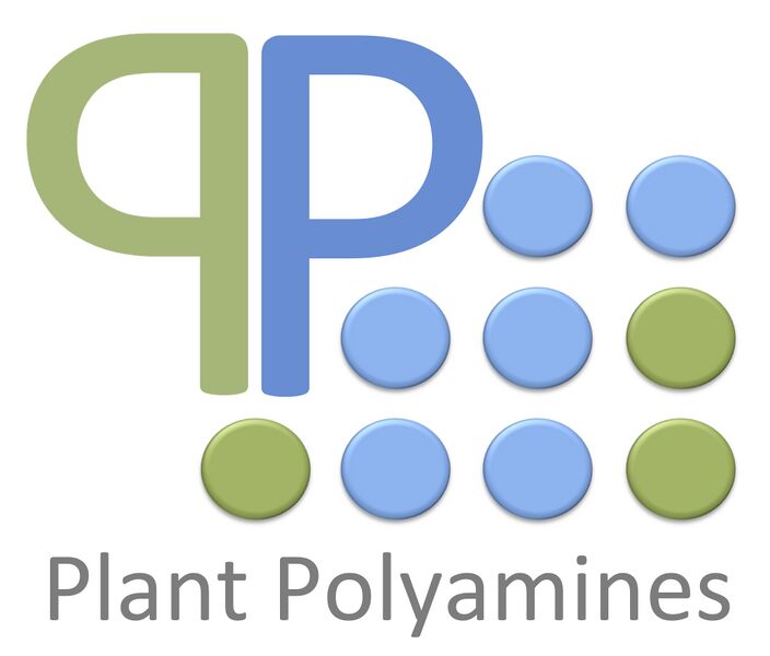 File:Polyamines.jpg