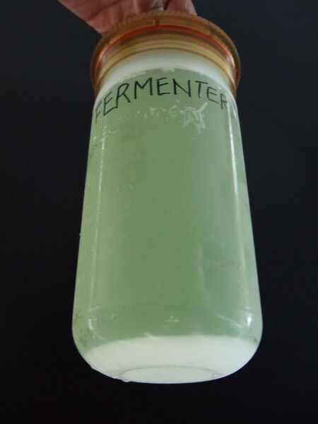 File:SAP B6+L pellet.JPG