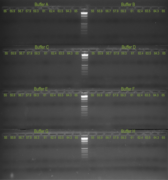 File:20111221 Gel.png