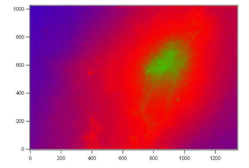 File:40xfluorescence sample2 8.jpeg