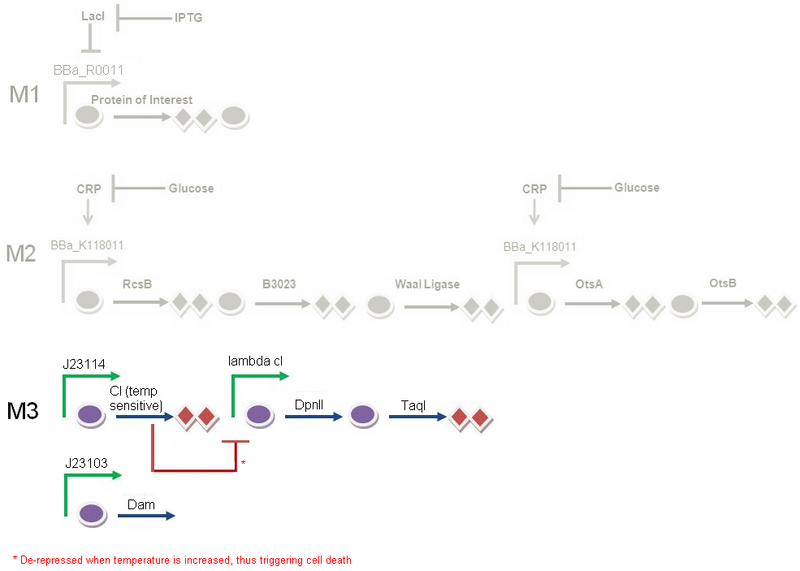 File:II09 full circuit Mod3.jpg