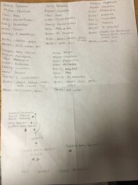 Picture of vertebrates and food web