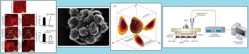 File:Nagrath banner.jpg