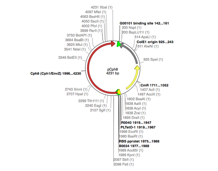 File:PCph8 map.png