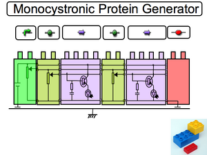 Repressed Promoter Component
