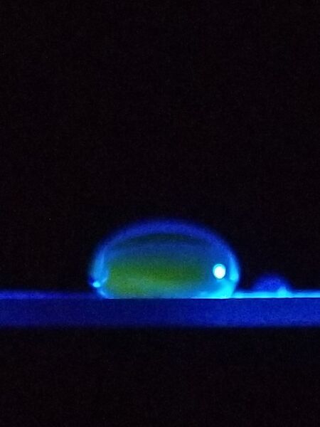 File:Negative Control 1 OWW.jpg