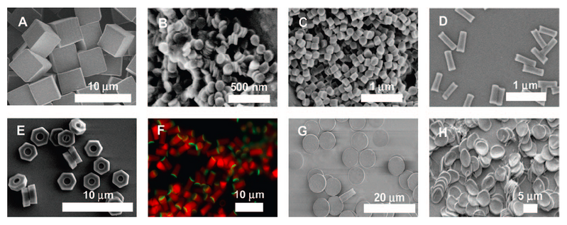 File:Different particles made by PRINT.png
