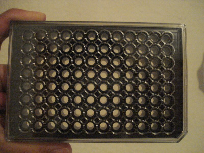 File:ELISA DARK PLATE.JPG